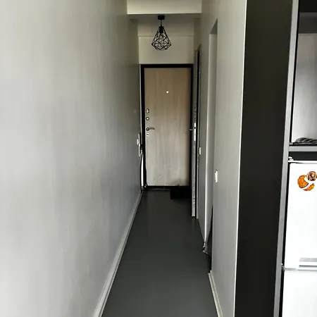 Flat-studija * וילנה