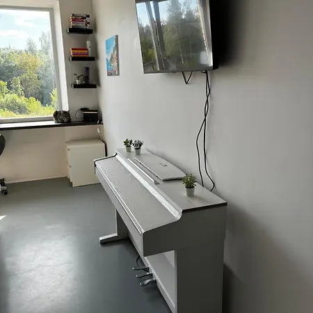 Flat-studija Вильнюс