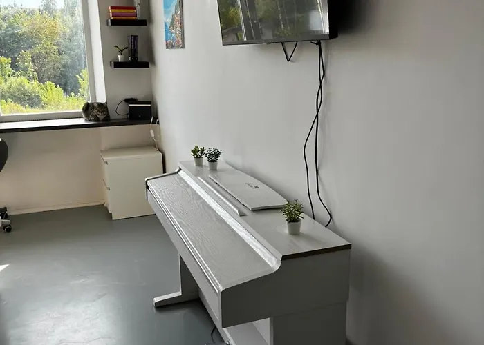 Flat-studija Vilnius